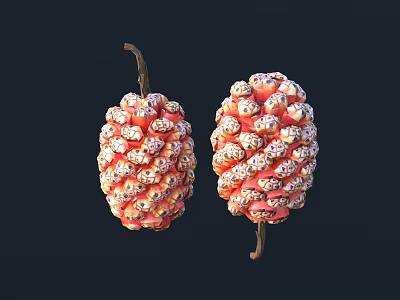 Two Fresh Red Fruits With Bumpy Surface And Brown Stems On Dark Background 3d model