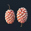 Two Fresh Red Fruits With Bumpy Surface And Brown Stems On Dark Background
