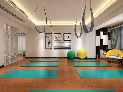 Modern Yoga Room Home Gym Leisure Area Sling Rope 3d model