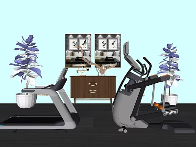Treadmill and Elliptical Trainer with Purple Plants Beside Cabinet with Mirrors in Indoor Gym 3d model