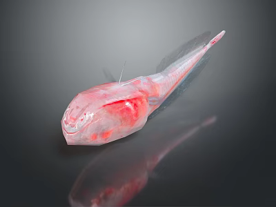Transparent Marine Creature With Red Body Accents And Slender Tail Structure 3d model