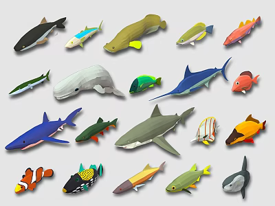 Colorful Marine Creatures Various Fish Shark Whale And Tropical Species Collection 3d model