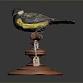 Vibrant Small Bird With Yellow Black And Green Feathers Perched On Brown Wooden Stand