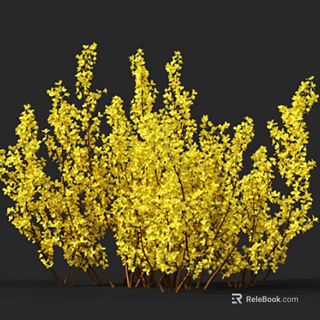 Yellow Flowering Shrubs With Lush Green Foliage And Vibrant Spring Blooms 3d model 