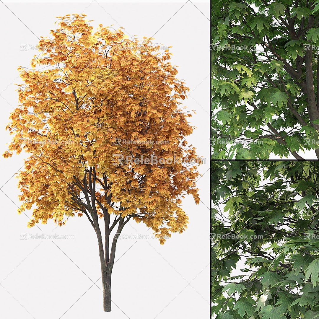 Landscape trees Autumn trees 3d model