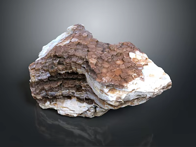 Natural Wooden Stone With Layered Brown And White Surface Texture 3d model