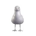 White Seagull With Grey Wings Standing In Natural Posture And Detailed Feathers