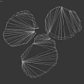 Three Irregular Brown Plant Leaf Shapes With Natural Textured Surfaces