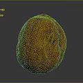 Whole Natural Walnut with Brown Shell as Healthy Organic Snack Option