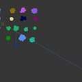 Various Colorful Plant Species Displayed With Green Yellow Purple Hues In Arranged Collection