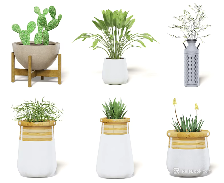 Diverse Potted Green Plants with Cactus Ferns and Ceramic Wooden Stand Planters 3d model 