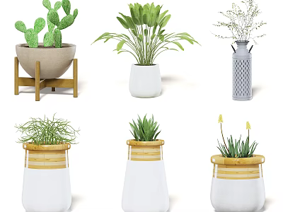 Diverse Potted Green Plants with Cactus Ferns and Ceramic Wooden Stand Planters 3d model