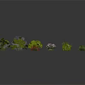 Diverse Plants with Green Leaves Various Shaped Shrubs and Pink Red Flowers on Dark Background