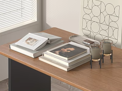 Modern Books 3d model