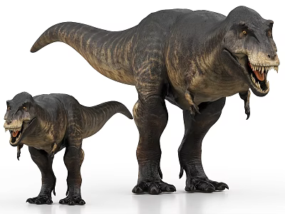 Realistic Tyrannosaurus Rex 3D Models Large And Small Prehistoric Dinosaurs 3d model
