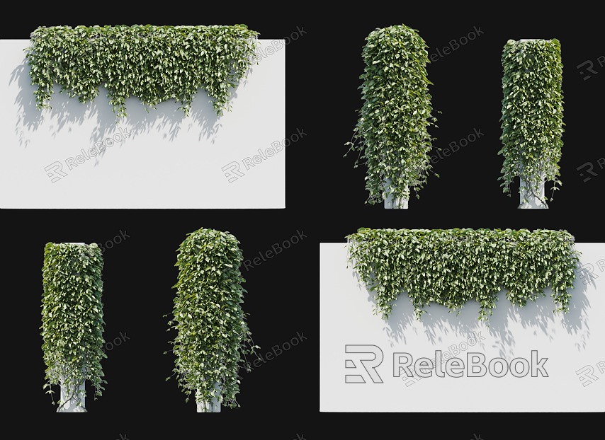 Modern Spring Matta Vine Climbing Wall Plant Evergreen Matta Cattle Horse Vine Big Blood Vine Cotton Vine Parthenocissus Vine Plant Vine Pillar Plant Wall model