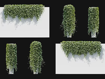 Lush Green Vines With Trailing Foliage Covering White Vertical Walls In Various Climbing Patterns 3d model