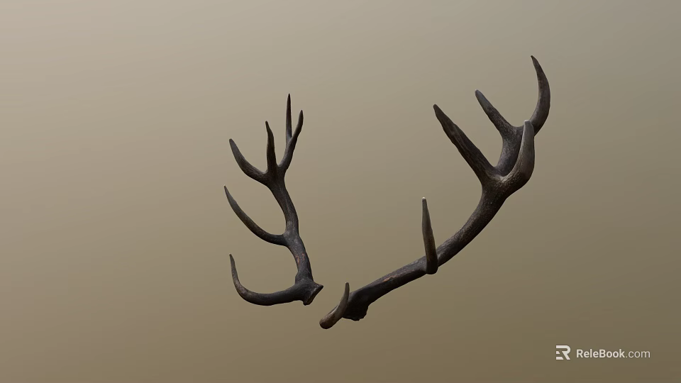 Natural Brown Deer Antlers As Decorative Wall Art For Rustic Homes 3d model 