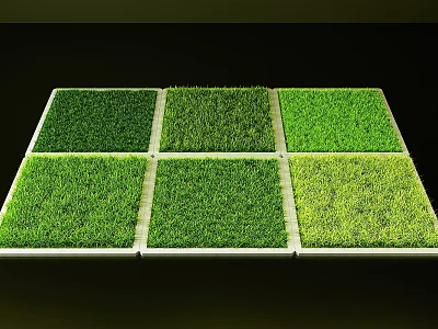 Six Square Green Grass Turf Samples Neatly Arranged In Rows 3d model