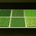 Six Square Green Grass Turf Samples Neatly Arranged In Rows 3d model