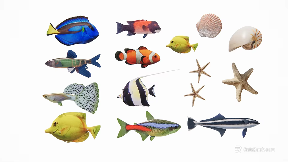 Various Colorful Aquatic Animals Including Fish Starfish And Seashells 3d model 