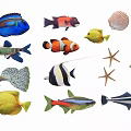 Various Colorful Aquatic Animals Including Fish Starfish And Seashells