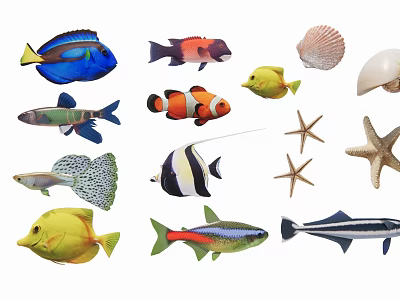 Various Colorful Aquatic Animals Including Fish Starfish And Seashells 3d model