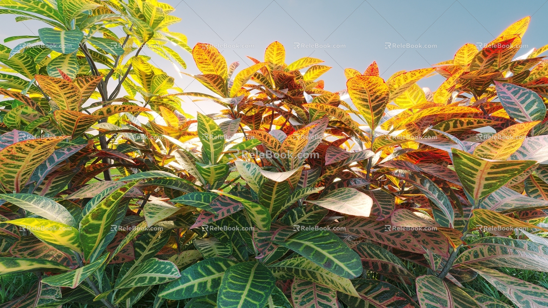 Landscape Shrub Shrub Plant Combination Natural Landscape 3d model