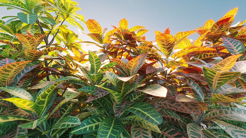 Lush Shrubs With Green Yellow Red Leaves Under Sunlight For Vibrant Appearance 3d model 