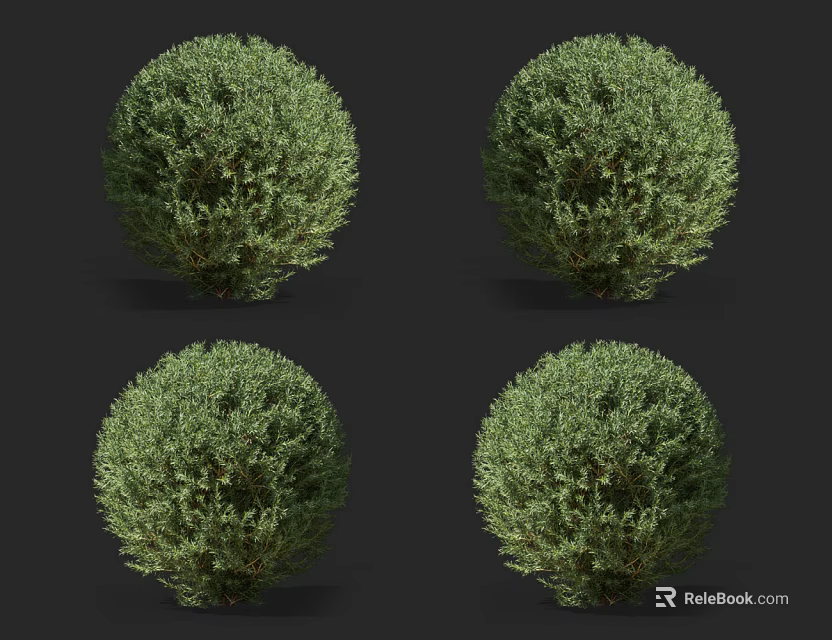 Well Maintained Round Green Spherical Shrubs For Outdoor Garden Landscaping 3d model 