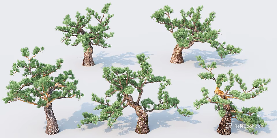 Multiple Arbor Trees With Various Shapes Green Foliage And Textured Trunks 3d model