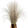 Modern Elegant Glass Vase Decorative Design With White Small Flowers And Slender Stems