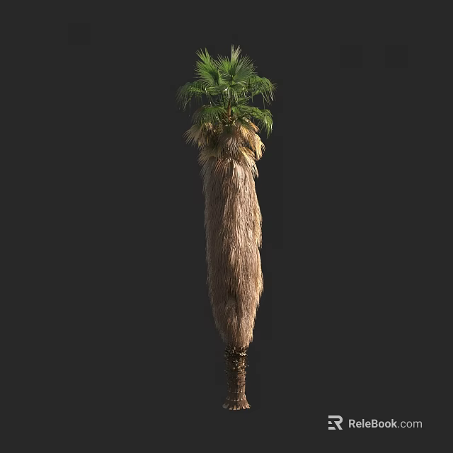 Tall Palm Tree With Green Fronds And Brown Fibrous Trunk In Natural Form 3d model 