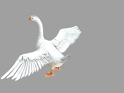 White Goose Spreading Wings In Flight With Orange Feet And White Feathers 3d model