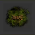Natural Wood And Stone Structure Surrounded By Green Moss Mushrooms And Grass In Rustic Setting