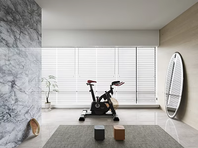 Modern Recreation Room With Stationary Bike Mirror Plants And Marble Wall 3d model
