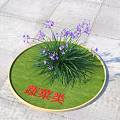 Purple Flowers With Green Leaves Growing On Circular Lawn Over Stone Pavement