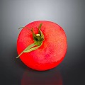 Fresh Red Tomato with Green Stem and Leaves on Dark Reflective Surface