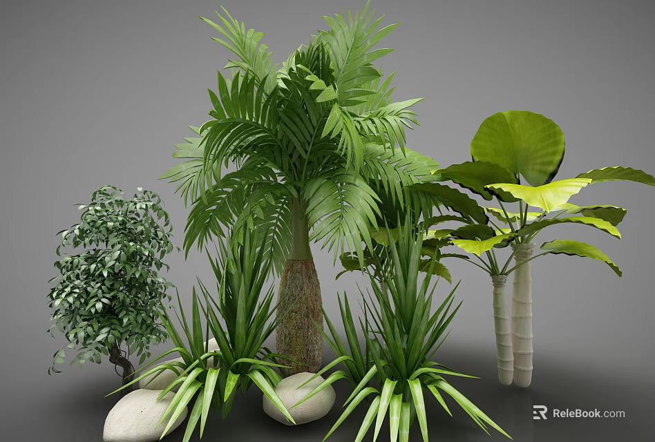Various Green Plants Including Palm Tree Large Leaf Bush And Decorative Stones 3d model 