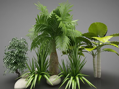 Various Green Plants Including Palm Tree Large Leaf Bush And Decorative Stones 3d model