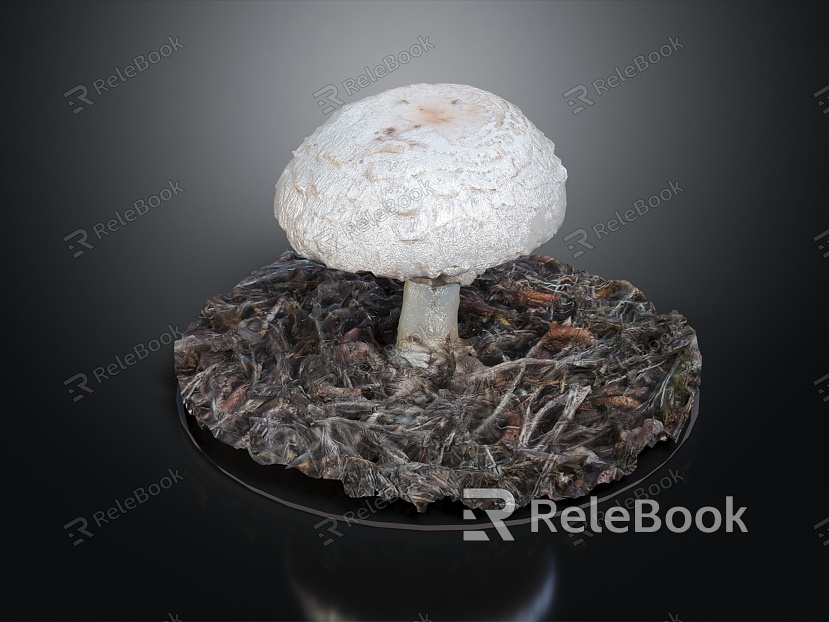 Modern mushroom straw mushroom poisonous mushroom model