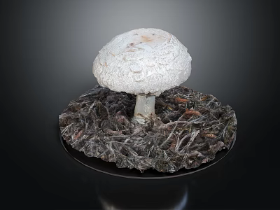 Organic Fresh White Mushroom Vegetable with Natural Soil and Root Structure Sample 3d model
