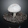 Modern mushroom straw mushroom poisonous mushroom 3d model