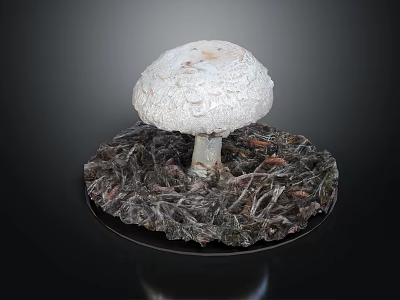 Modern mushroom straw mushroom poisonous mushroom 3d model