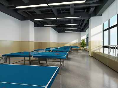 Modern table tennis room 3d model