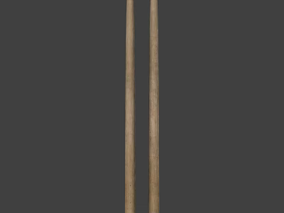 Two Long Natural Wooden Sticks Standing Vertically On Dark Background 3d model