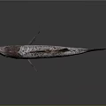 Whole Fresh Fish With Pink White Body Black Spots Blue Eyes Shiny Surface
