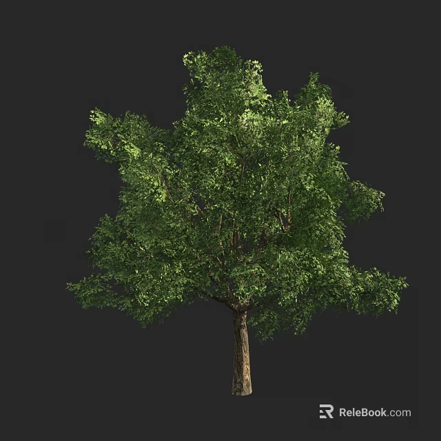 Lush Green Leafy Tree With Strong Trunk And Dense Foliage Structure 3d model 