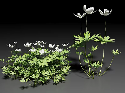 Lush Green Vine Growing With White Flowers And Fresh Green Leaves 3d model