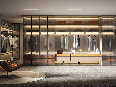 Modern Walk in Closet Interior Design With Glass Door Wardrobes Hanging Clothes And Drawers 3d model
